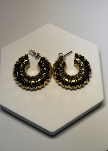 Pendientes DIANA